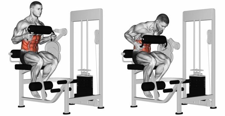 Two diagrams showing how ab crunch machines exercise your abs