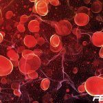 Best Nitric Oxide Supplements feature image