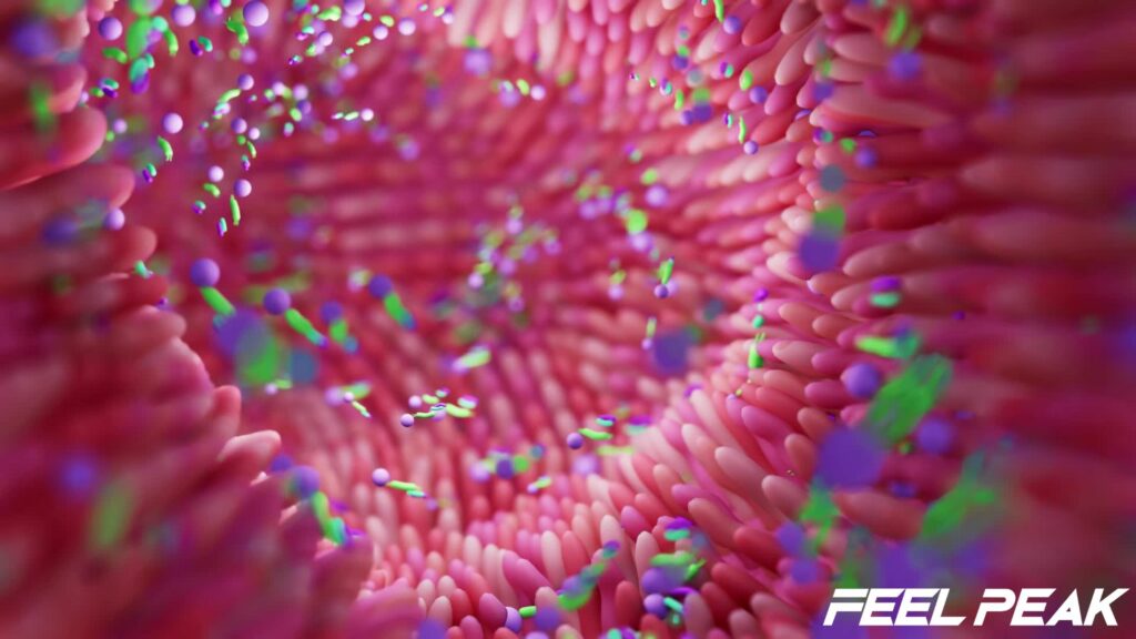 Best Probiotics feature image