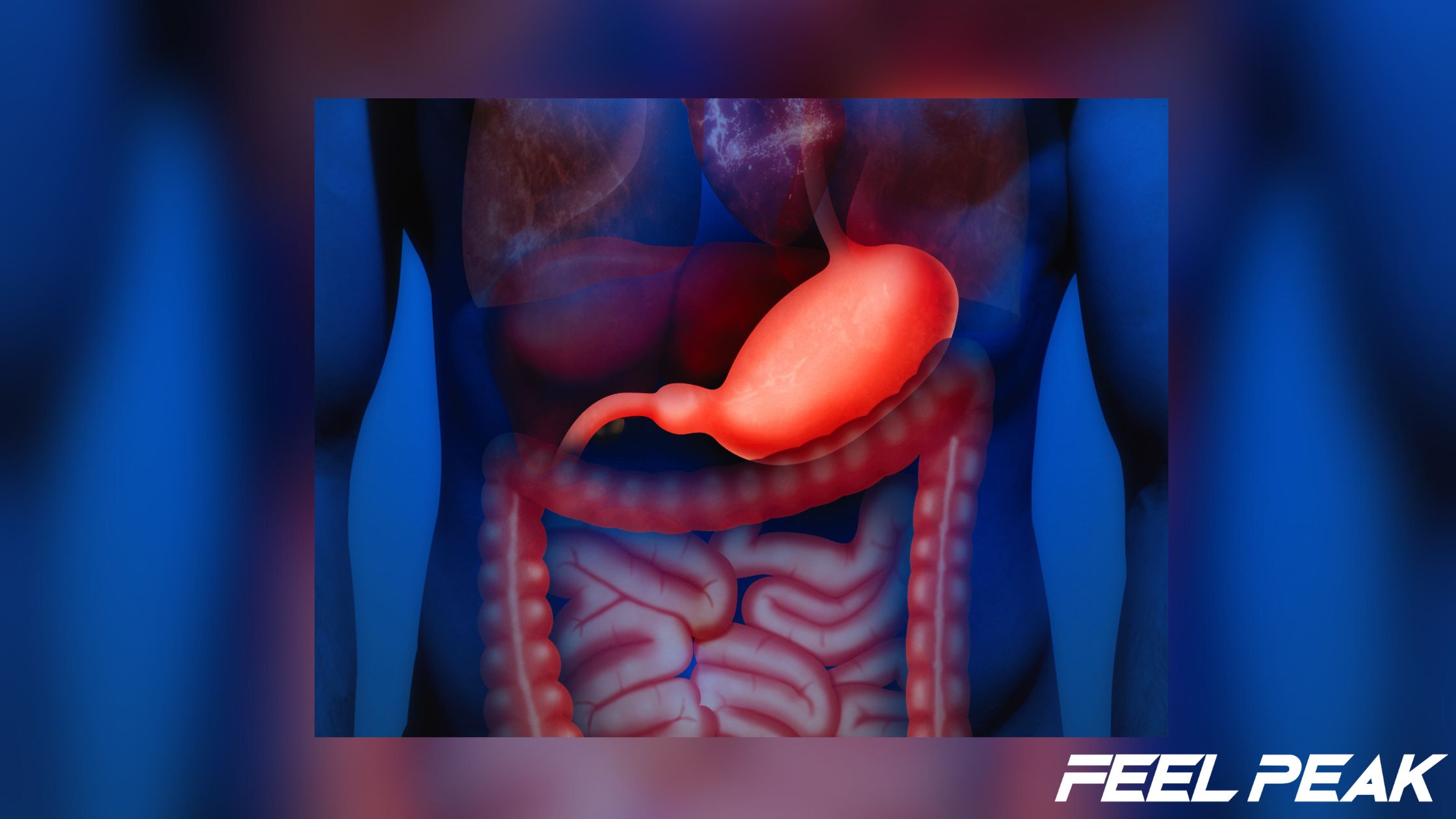 Best Probiotics For Men feature image
